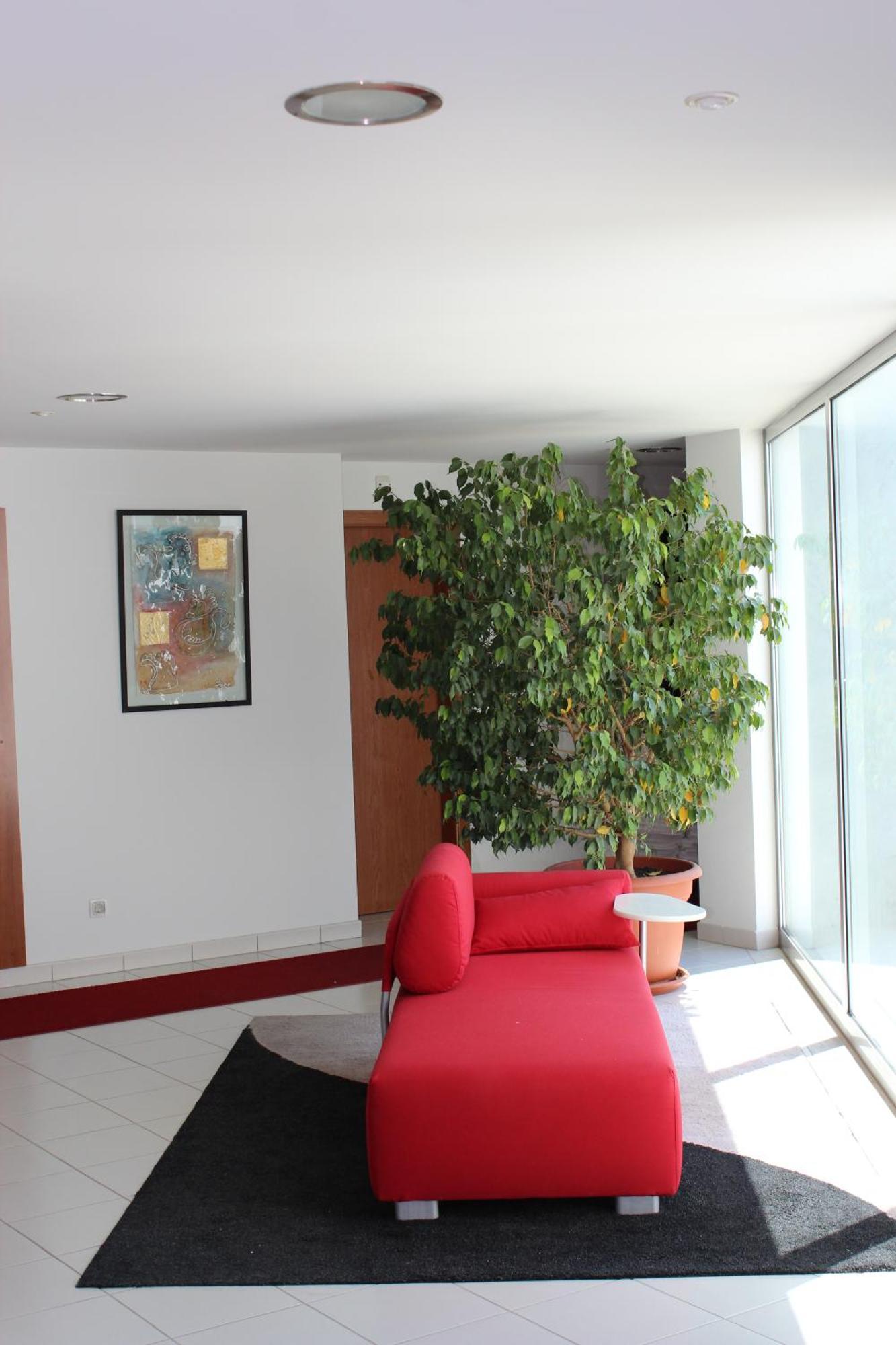 Hotel Sao Sebastiao De โบลิเคมี ภายนอก รูปภาพ